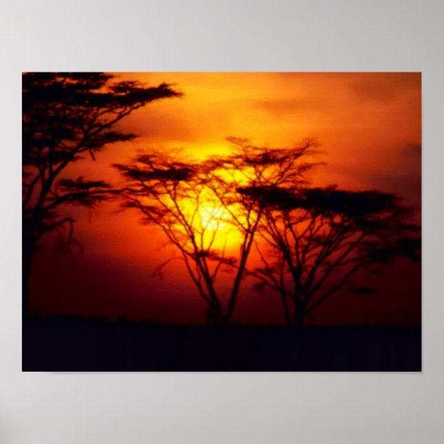 African Sunset Poster (Front)