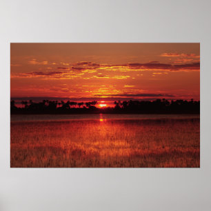 African sunset posters, prints, pictures & images poster