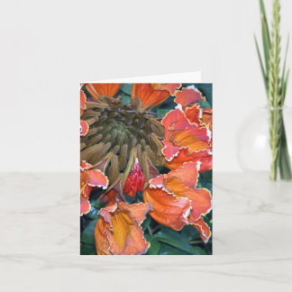 African Tulip Tree Notecard
