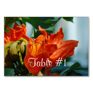 African Tulip Tree Table Number