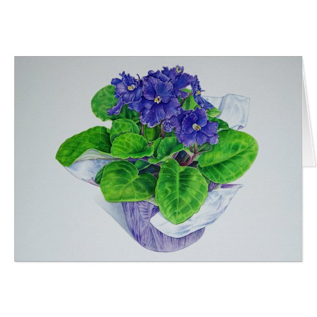 African Violet (Front Horizontal)