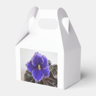 African Violet Blooming Favour Box