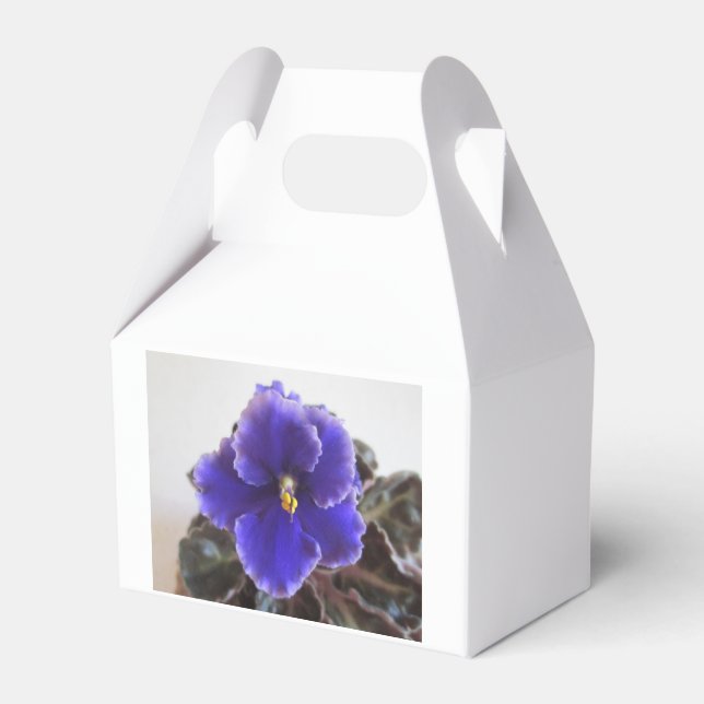 African Violet Blooming Favour Box (Front Side)