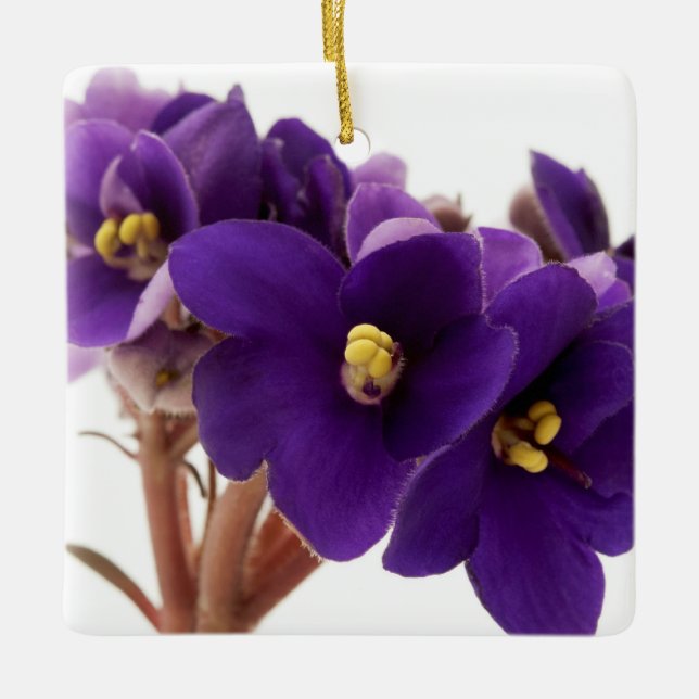 African violet ceramic ornament (Front)