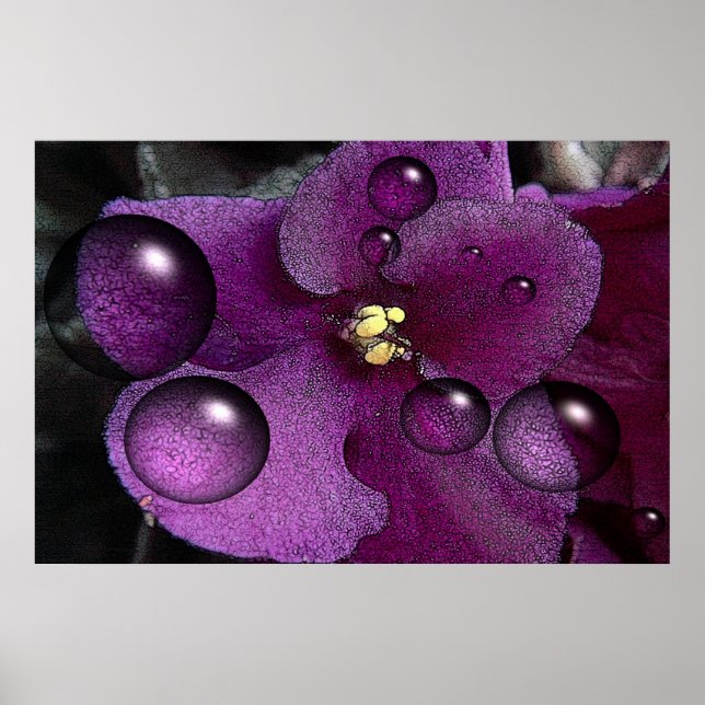 African Violet Fantasy Poster (Front)