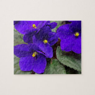 African Violet Flower Puzzle