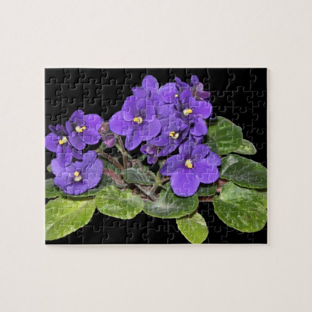 African violet jigsaw puzzle (Horizontal)
