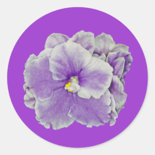 African Violet Purple Classic Round Sticker
