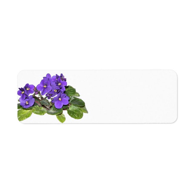 African violet return address label (Front)