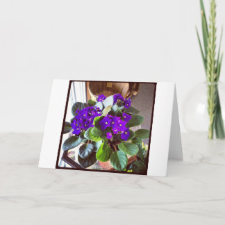 African Violet Stationery Note Card