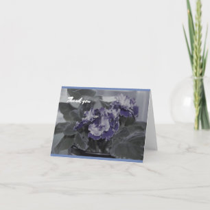 African Violet thank you cards