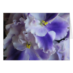African Violets Card