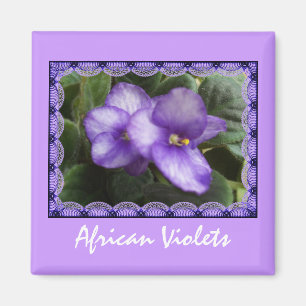 African Violets Magnet