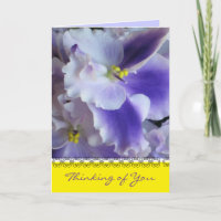 African Violets Thinking of You Card