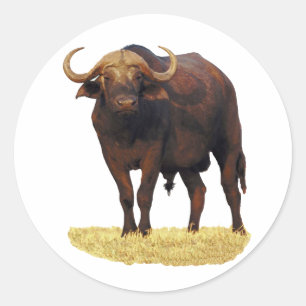 African Water Buffalo Classic Round Sticker