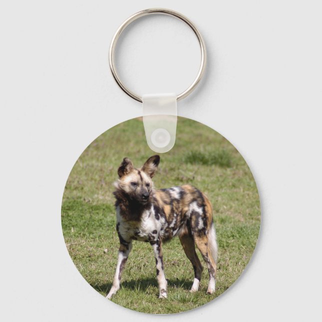 african-wild-dog-014 key ring (Front)