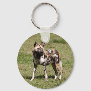 african-wild-dog-015 key ring