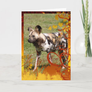 african-wild-dog-016 holiday card