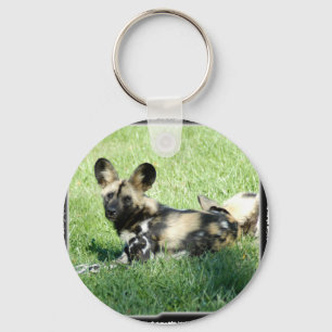 african wild dog_10x10 key ring