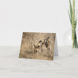 AFRICAN WILD DOG  CARD