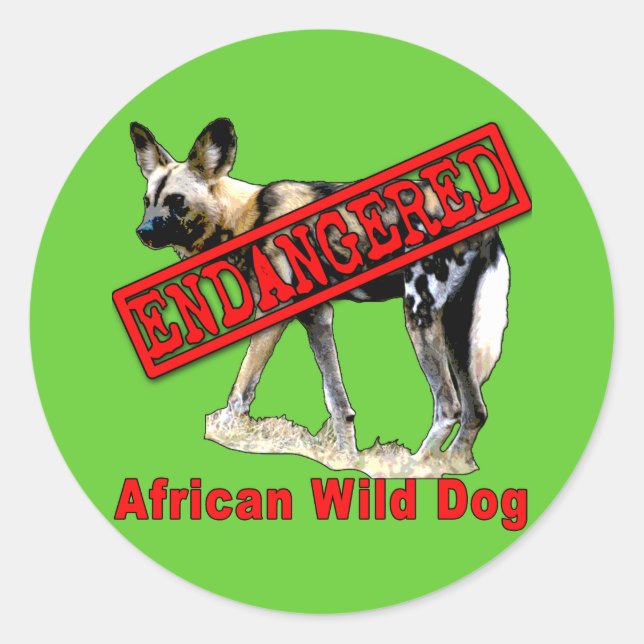 African Wild Dog Endangered Animal Products Classic Round Sticker (Front)