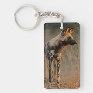 African Wild Dog (Lycaon Pictus), Kruger Key Ring