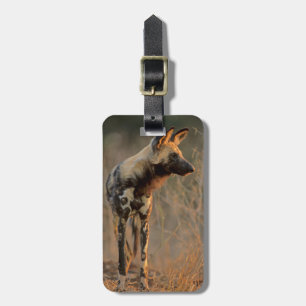 African Wild Dog (Lycaon Pictus), Kruger Luggage Tag