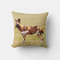 African Wild Dog (Lycaon Pictus) Standing