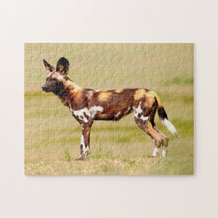 African Wild Dog (Lycaon Pictus) Standing Jigsaw Puzzle