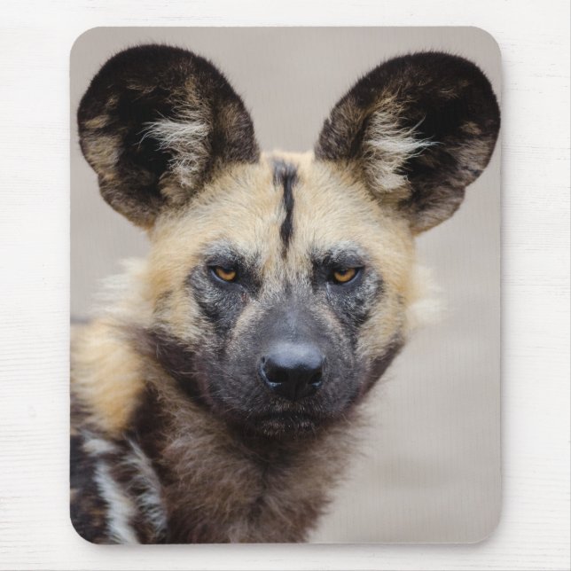 African Wild Dog (Painted Dog) Mouse Pad (Front)