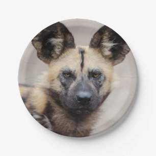 African Wild Dog (Painted Dog) Paper Plate