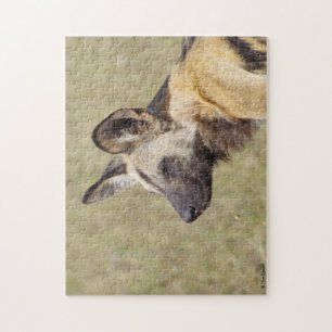 African Wild Dog Puzzle