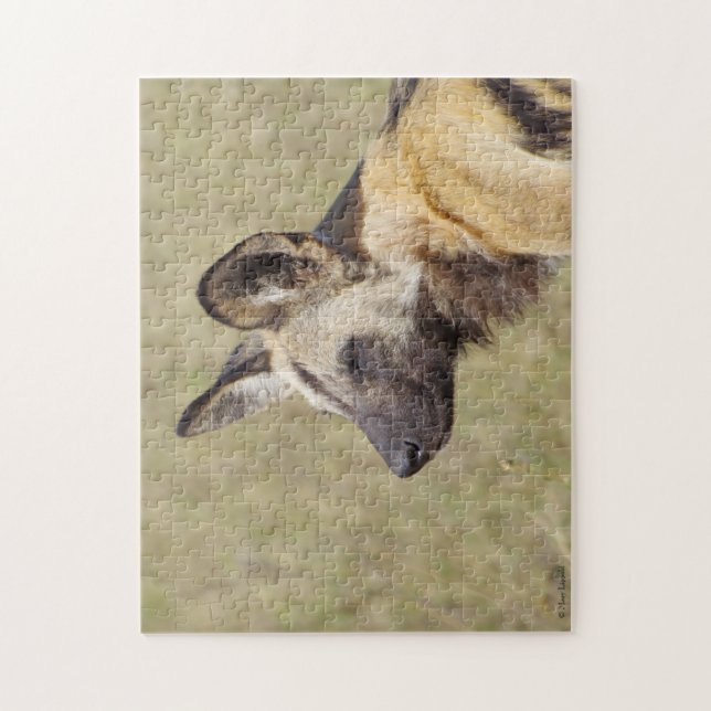 African Wild Dog Puzzle (Vertical)