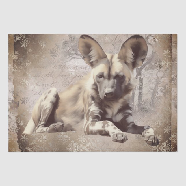 African Wild Dog Tissue Paper (Front)