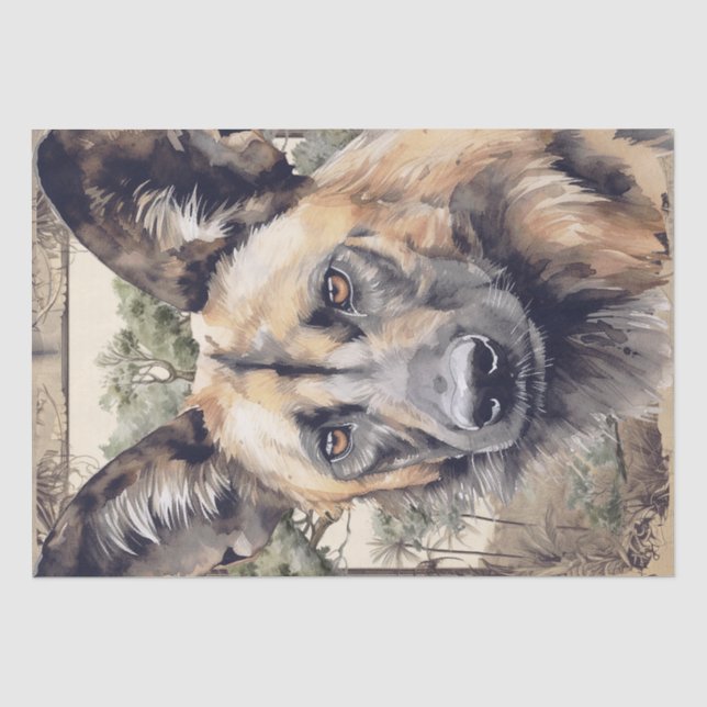 African Wild Dog Tissue Paper (Front)