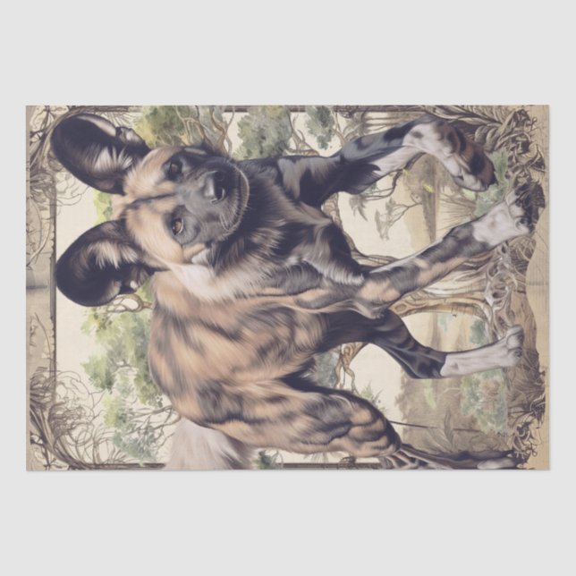 African Wild Dog Tissue Paper (Front)