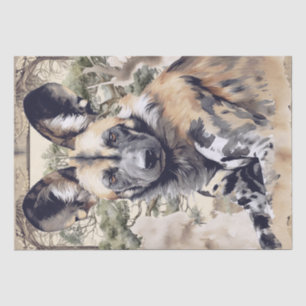 African Wild Dog Tissue Paper
