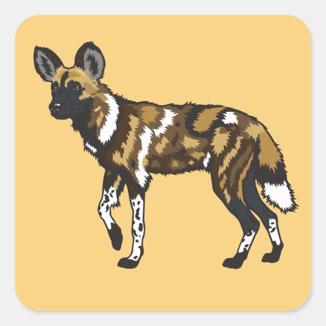 African wild dog. Wild Africa Square Sticker (Front)