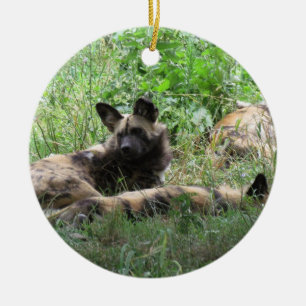 African Wild Dogs Christmas Ornament