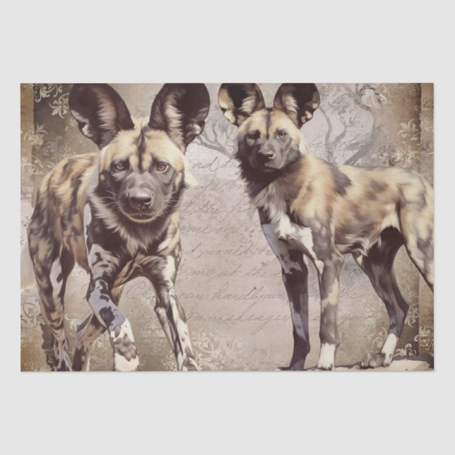 African Wild Dogs Tissue Paper (Front)