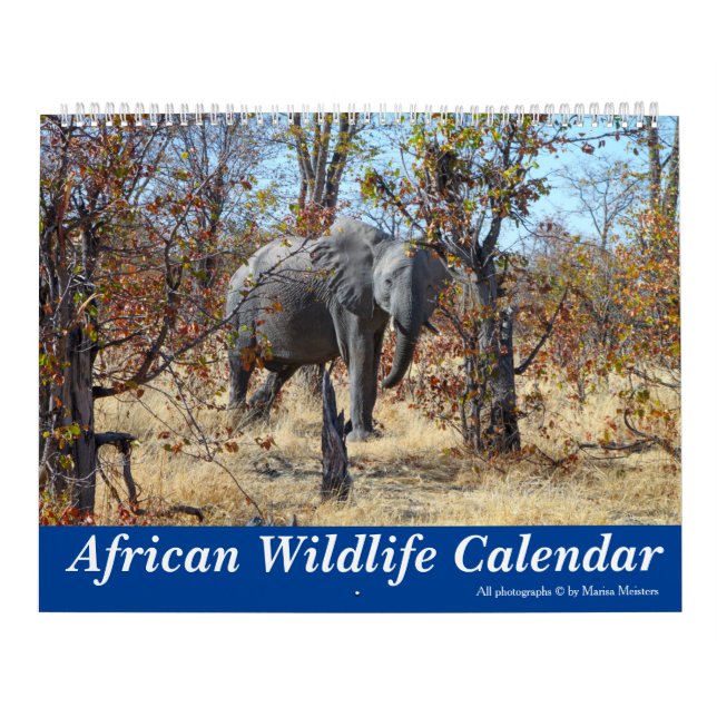 African Wildlife Calendar (Cover)