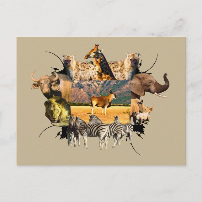 African Wildlife Frame Eland Mountain Postcard (Front)