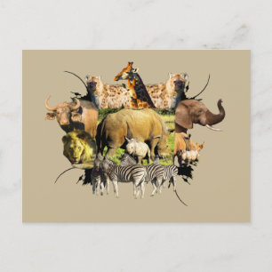 African Wildlife Frame Rhino Calf and Mother Postcard