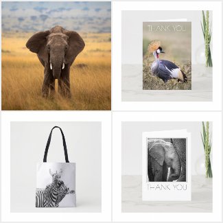 African Wildlife Fundraising Gifts 