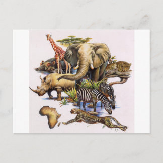 African Wildlife in Concert Postcard