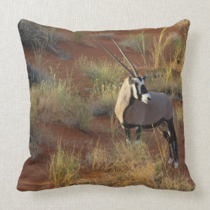 African Wildlife Oryx Antelope Sand Dune Savannah Cushion