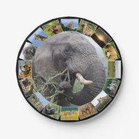 African Wildlife Photo Collage Elephant Bull