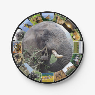 African Wildlife Photo Collage Elephant Bull Paper Plate