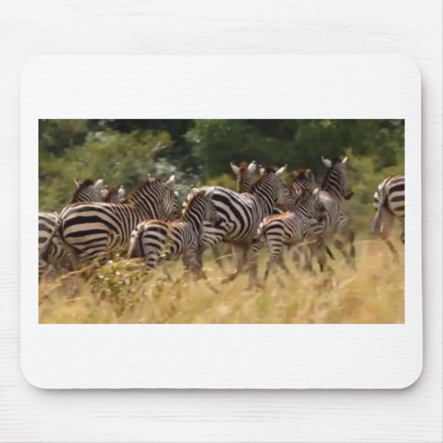 African Zebra cool stuff Mouse Pad (Front)