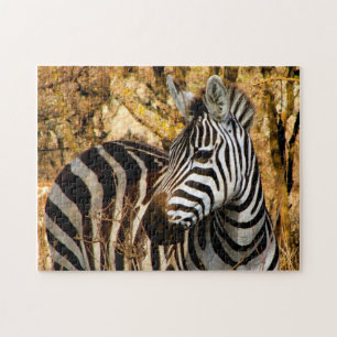 African Zebra Jigsaw Puzzle